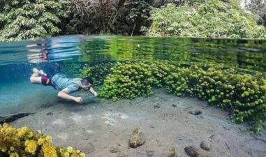 6 Tempat Wisata Alam di Malang yang Cocok untuk Healing