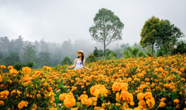 9 Sudut Bali yang Bikin Kamu Pengen Healing Sejenak