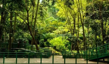 7 Tempat Wisata Alam Menakjubkan di Bandung