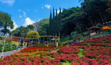 6 Rekomendasi Tempat Romantis di Malang untuk Honeymoon