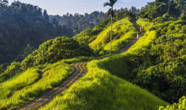 6 Rekomendasi Destinasi Alam di Bali untuk Liburan Singkat